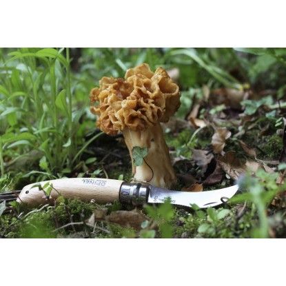 Peilis Opinel Nr.8 grybavimui