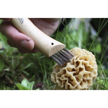 Peilis Opinel Nr.8 grybavimui