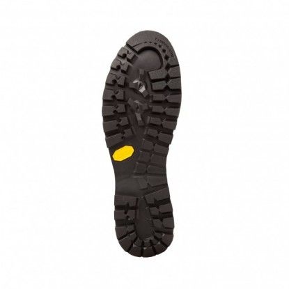 Millet Friction GTX shoes