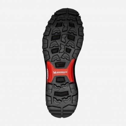 Avalynė Millet X-Rush GTX