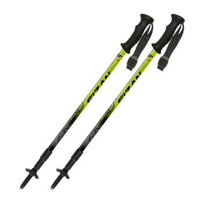 Fizan Explorer lime/grey ėjimo lazdos