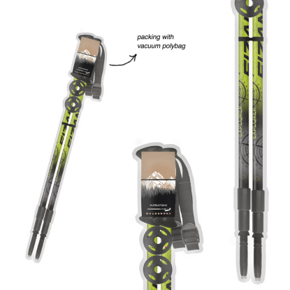 Fizan Explorer lime/grey ėjimo lazdos