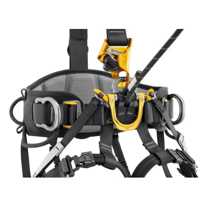 Petzl Astro European Version harness