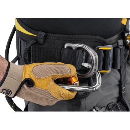 Petzl Astro European Version harness