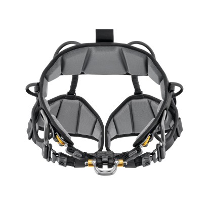 Petzl Astro European Version harness
