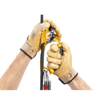 Petzl Ascension
