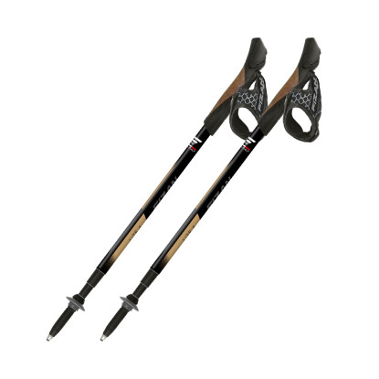 Fizan Lite 4 Tech beige nordic walking poles
