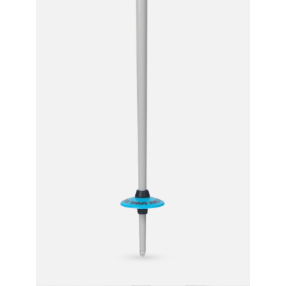 Line Tom Wallischtick ski poles