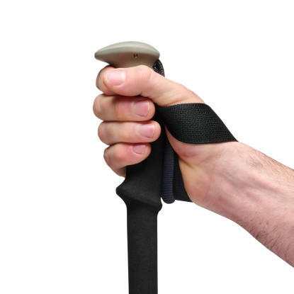 Black Diamond Trail pine smoke trekking poles