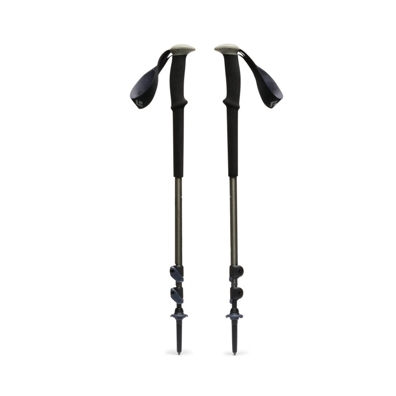 Black Diamond Trail pine smoke trekking poles