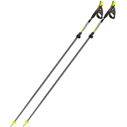 Fizan Carbon Pro nordic walking poles