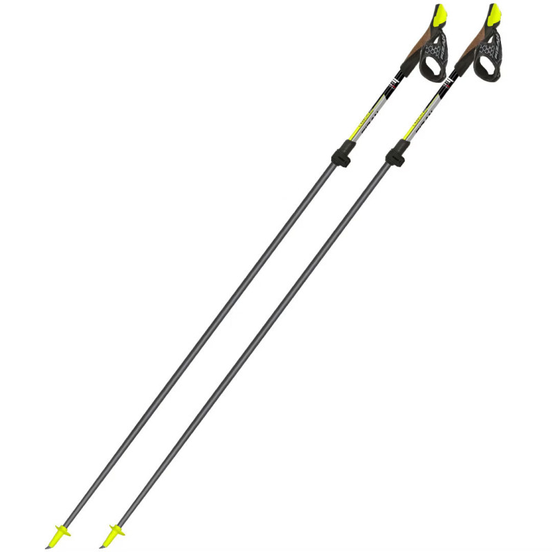 Fizan Carbon Pro nordic walking poles