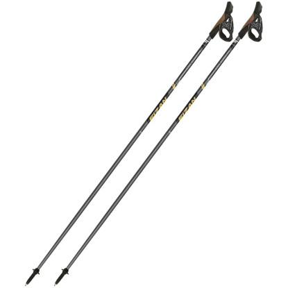 Fizan NW Runner nordic walking poles